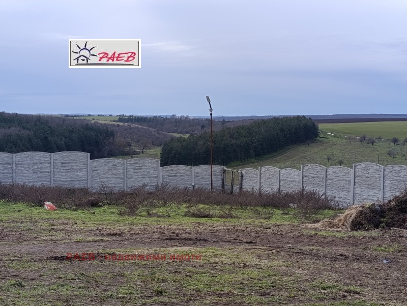 Продава БИЗНЕС ИМОТ, с. Щръклево, област Русе, снимка 8 - Други - 53315852