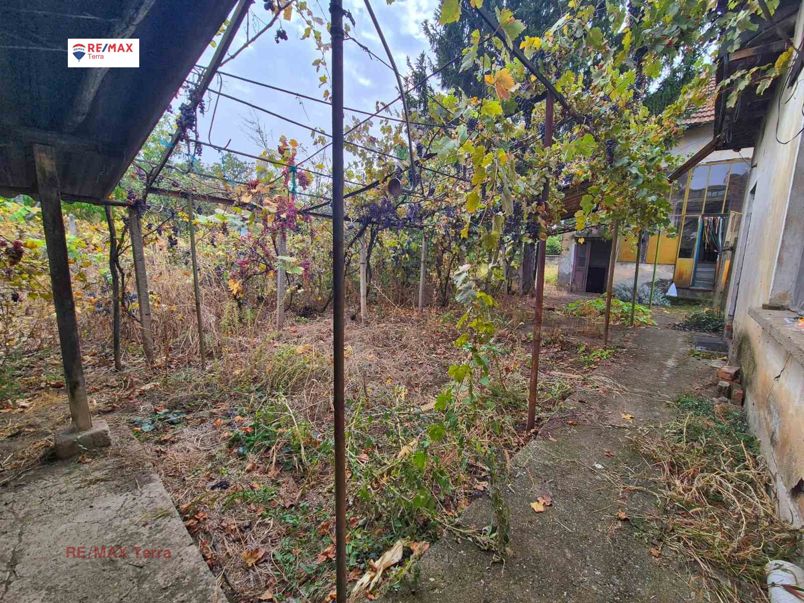 Продава КЪЩА, гр. Кнежа, област Плевен, снимка 6 - Къщи - 56552149