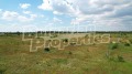 Продава ПАРЦЕЛ, с. Топола, област Добрич, снимка 15