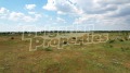 Продава ПАРЦЕЛ, с. Топола, област Добрич, снимка 12