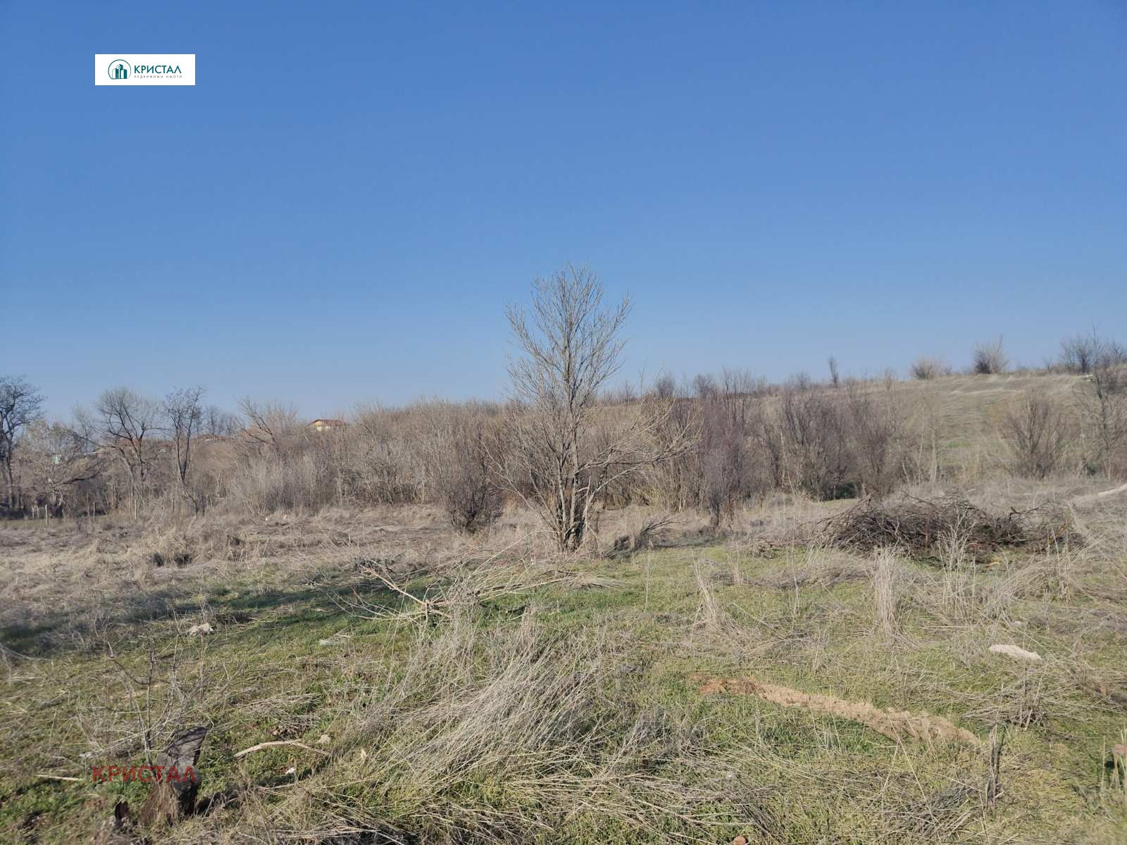 Продава ПАРЦЕЛ, с. Чешнегирово, област Пловдив, снимка 2 - Парцели - 53038730
