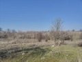 Продава ПАРЦЕЛ, с. Чешнегирово, област Пловдив, снимка 2