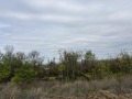Продава ПАРЦЕЛ, гр. Русе, в.з. Кръста, снимка 5