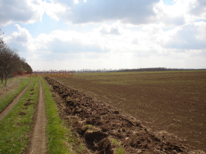 Продава ЗЕМЕДЕЛСКА ЗЕМЯ, с. Езерец, област Добрич, снимка 4 - Земеделска земя - 53218294