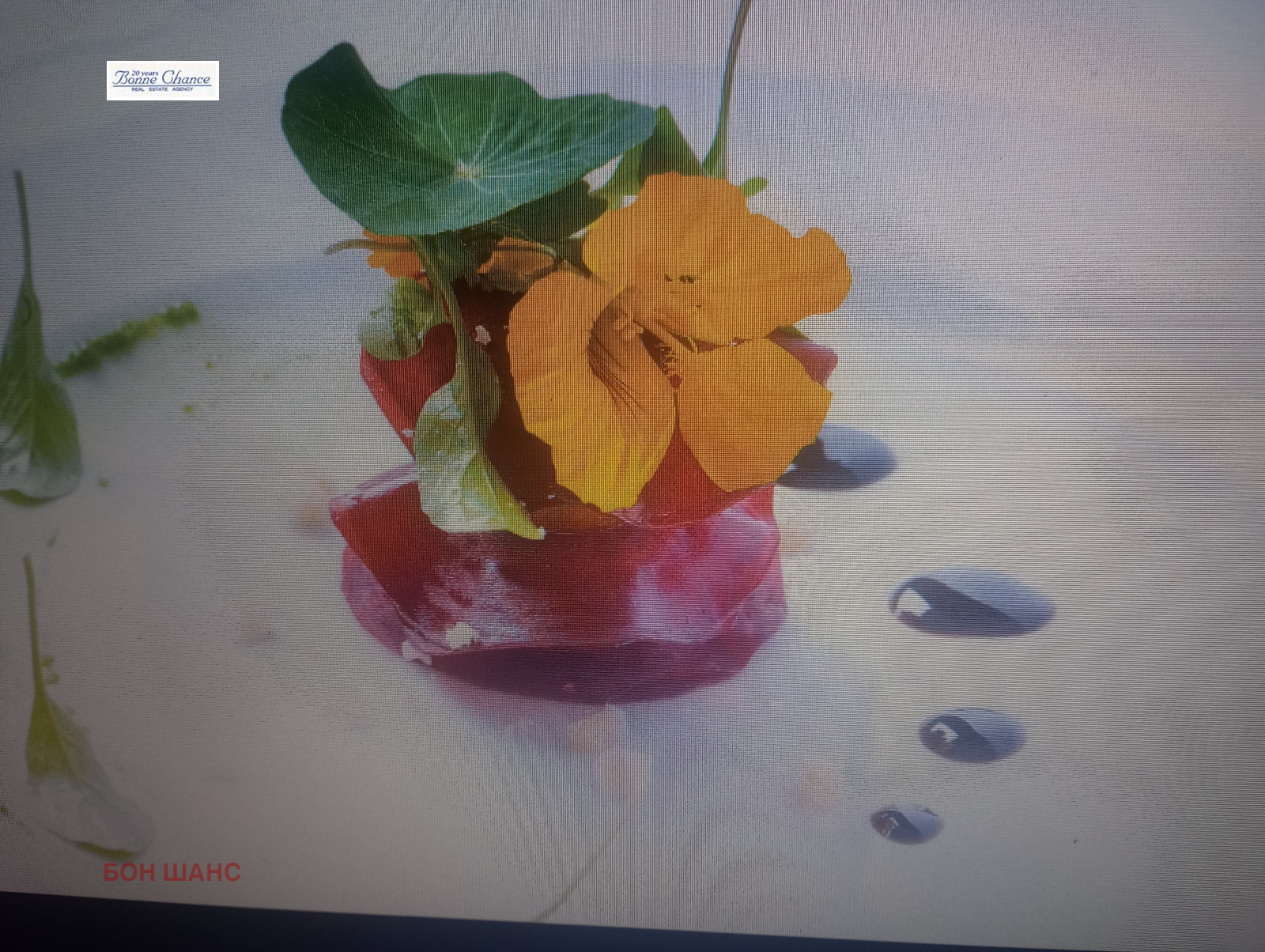 Продава МАГАЗИН, гр. София, Център, снимка 2 - Магазини - 53609581