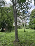 Продава 2-СТАЕН, гр. София, Хиподрума, снимка 2