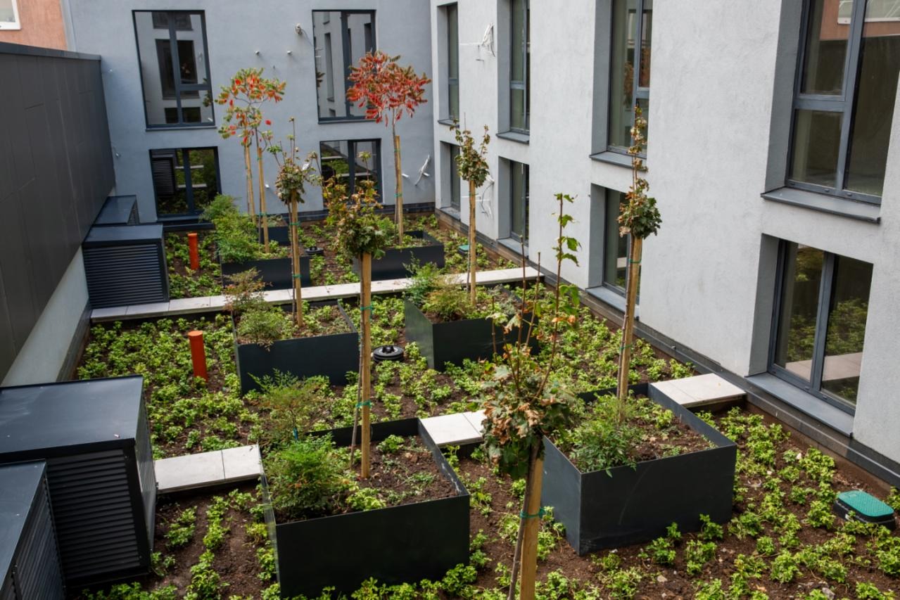 ������� 3-����� | Imot.bg � ����������� 12