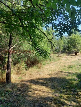 ������� ������ | Imot.bg � ����� ������ 15