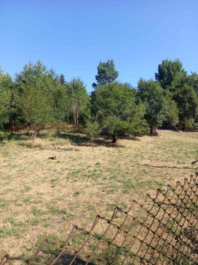������� ������ | Imot.bg � ����� ������ 14