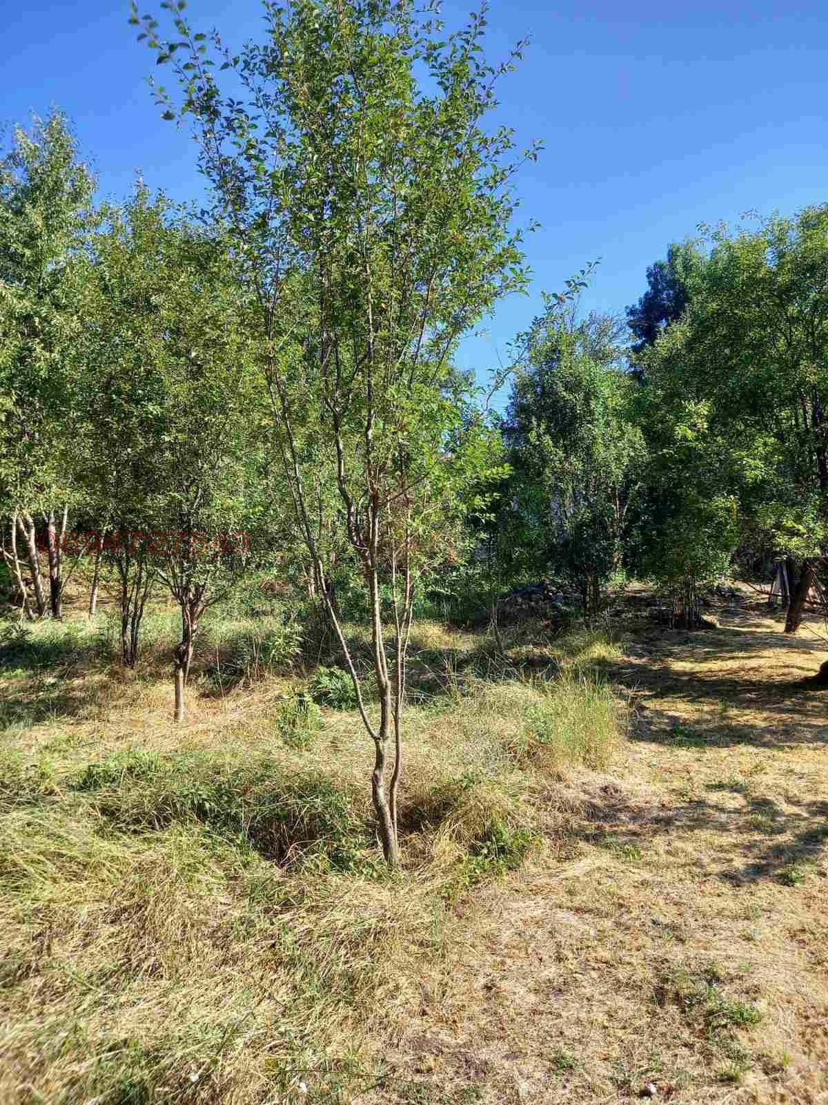 Продава ПАРЦЕЛ, с. Братушково, област София област, снимка 12 - Парцели - 55539204