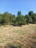 Продава ПАРЦЕЛ, с. Братушково, област София област, снимка 14