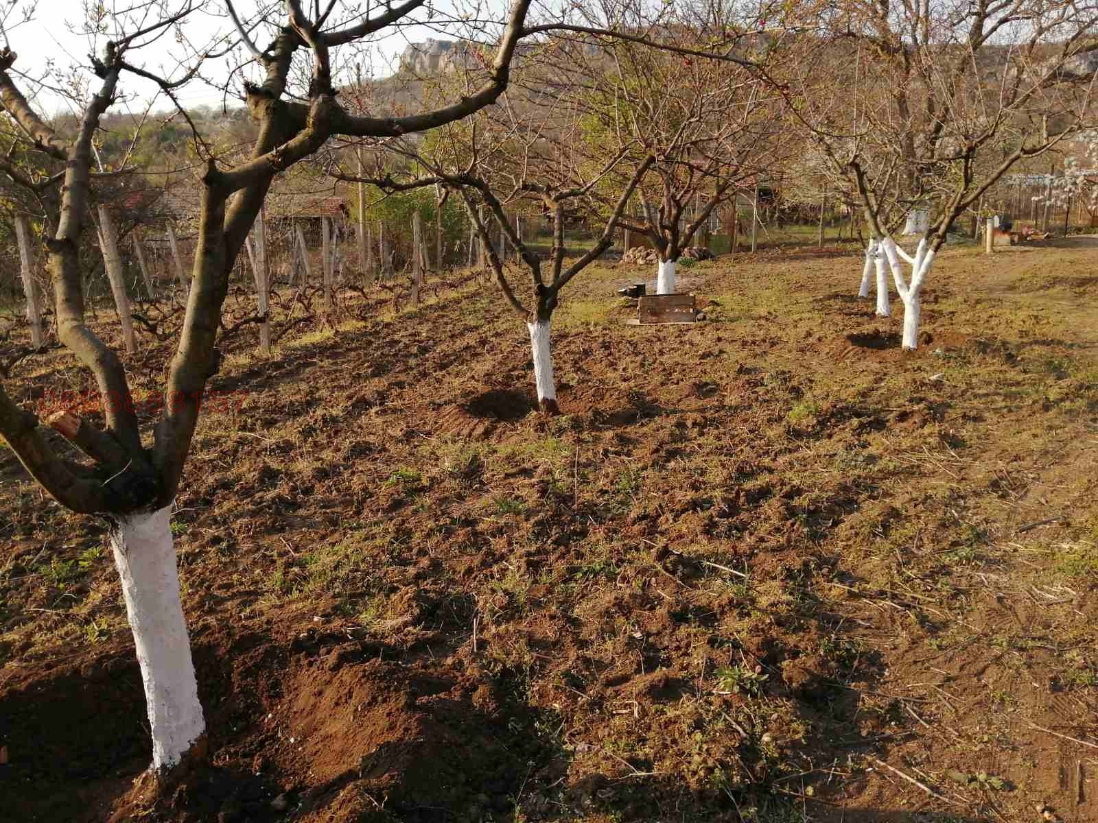 ������� ������ | Imot.bg � ����������� 5