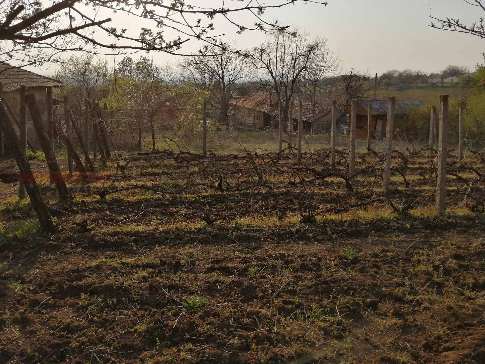 ������� ������ | Imot.bg � ����������� 7