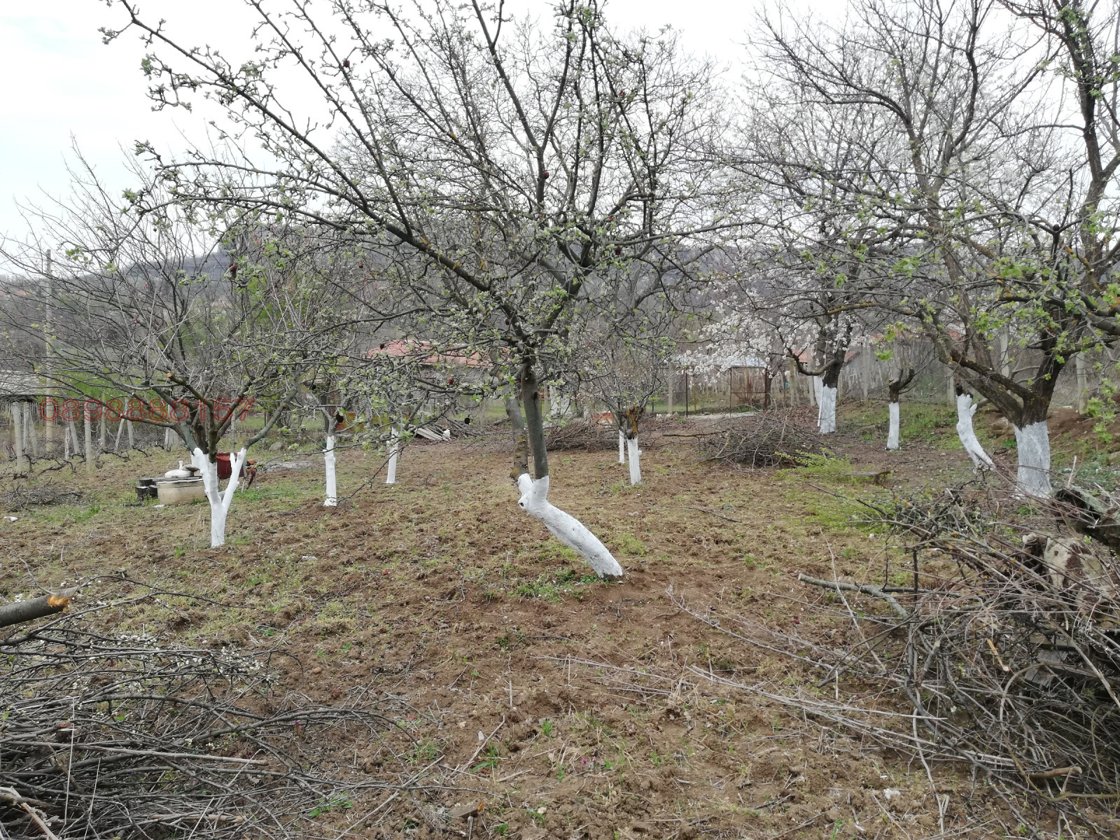 ������� ������ | Imot.bg � ����������� 2