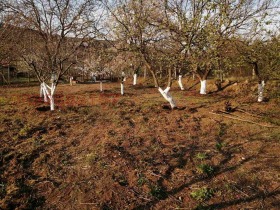 ������� ������ | Imot.bg � ����� ������ 3