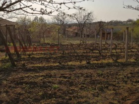 ������� ������ | Imot.bg � ����� ������ 7