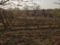 Продава ПАРЦЕЛ, област Шумен, с. Кюлевча • 34000 € / 66498.22 лв. • 11913185 7