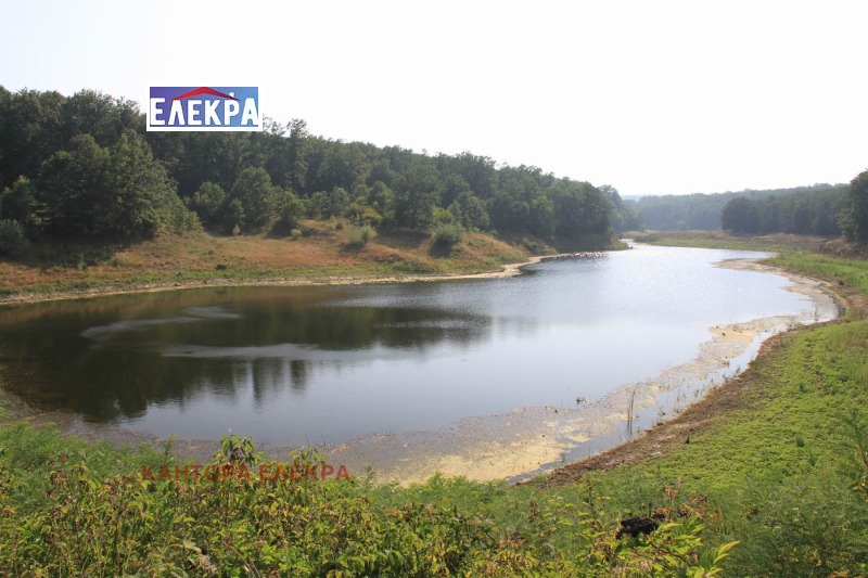Продава ПАРЦЕЛ в област Варна, с. Юнец - 82000 кв.м / 574 378 € » 1 123 385.72 лв., КАНТОРА ЕЛЕКРА