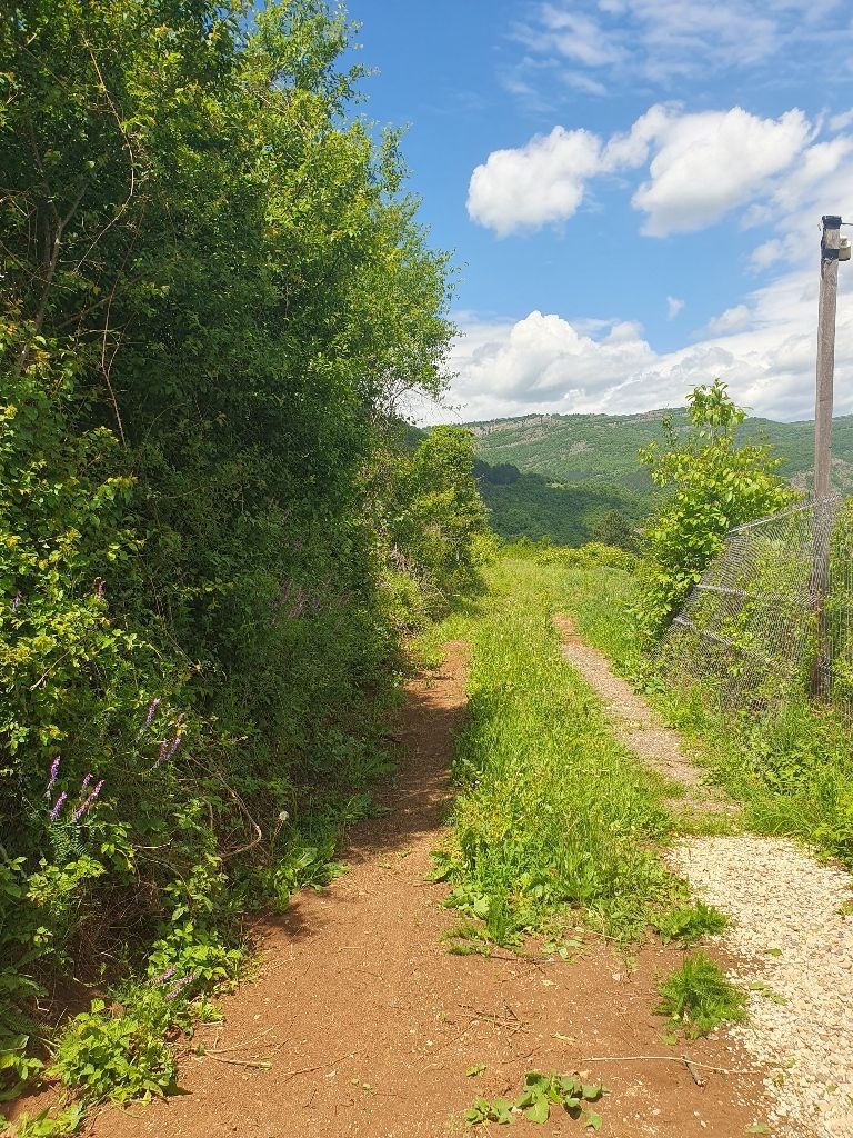 Продаја  Плот регион Софиа , Церово , 500 м2 | 12717711 - слика [4]