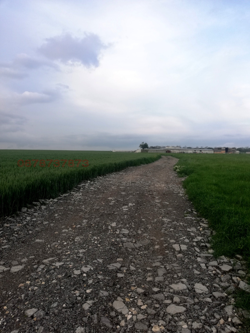 Продава  Парцел област Варна , с. Орешак , 9000 кв.м | 81919969 - изображение [10]