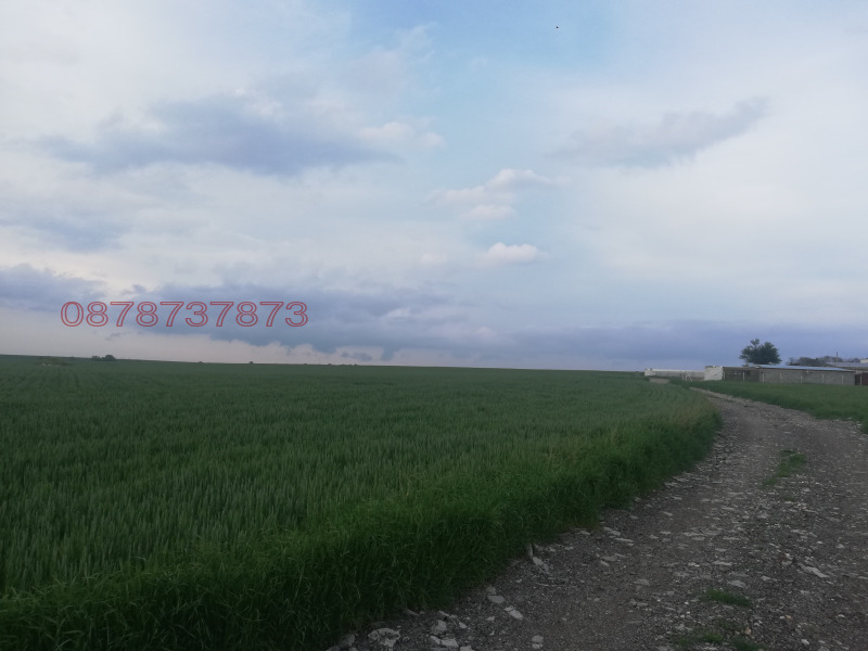 Продава  Парцел област Варна , с. Орешак , 9000 кв.м | 81919969 - изображение [9]