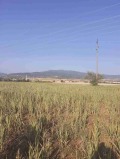 Продава ЗЕМЕДЕЛСКА ЗЕМЯ, гр. Кюстендил, област Кюстендил, снимка 2