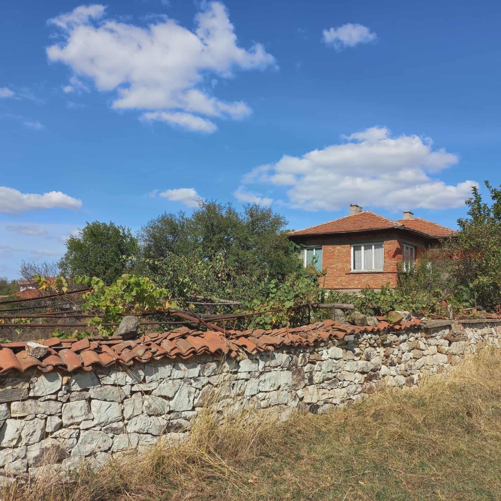 ������� ���� | Imot.bg � ����������� 1