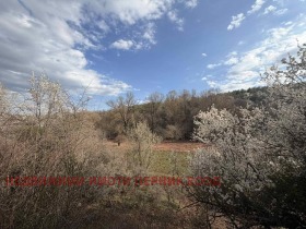 ����� ������� ����,�. �������, ������ ������>