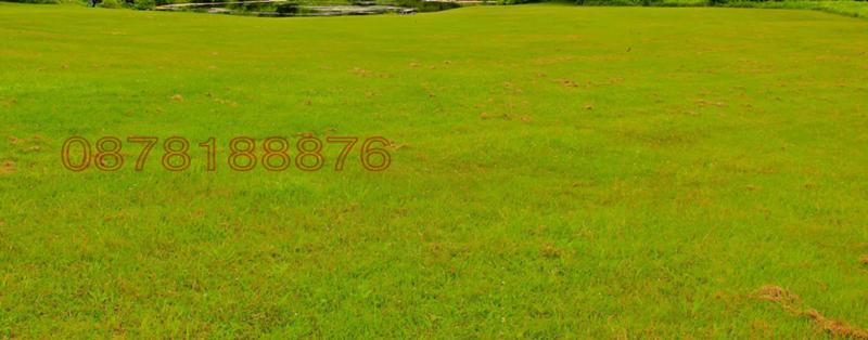 ������� ���������� ���� | Imot.bg � ����������� 1