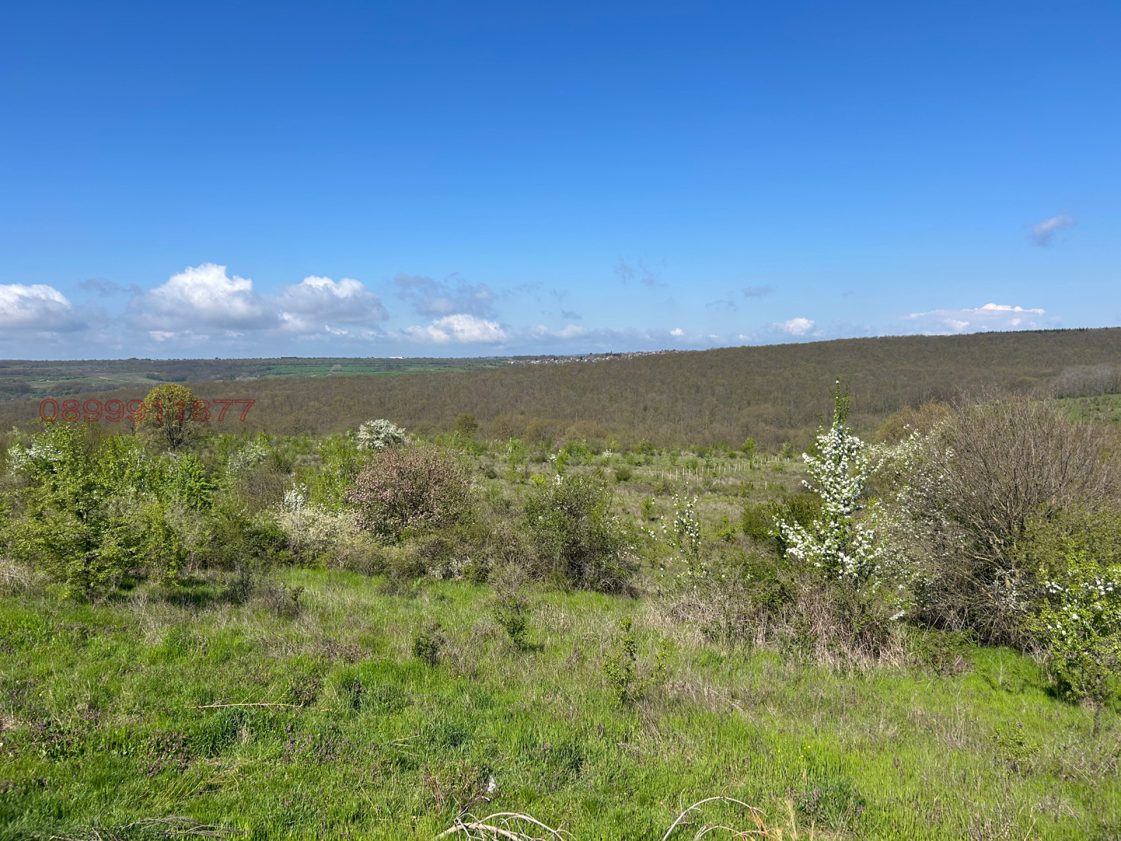 ������� ������ | Imot.bg � ����������� 1