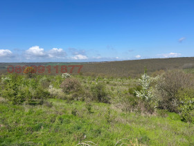 ������ ������� ������