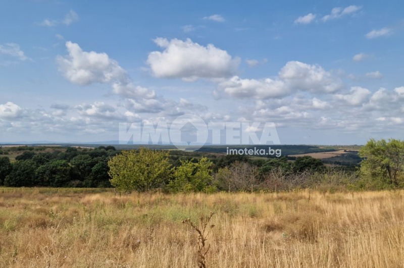 На продаж  Будинок область Варна , Приселци , 230 кв.м | 42759771 - зображення [11]