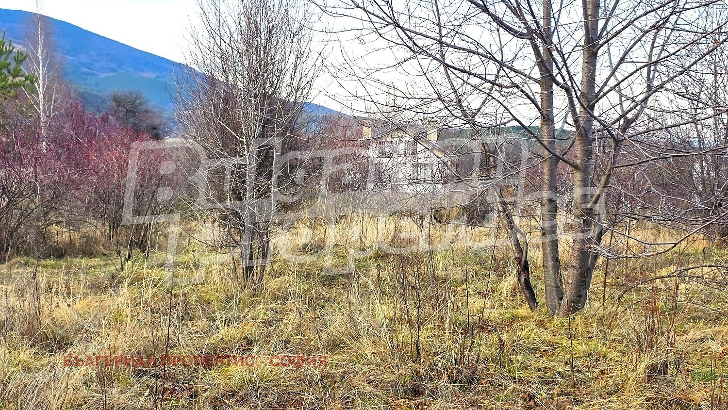 Продава ПАРЦЕЛ, гр. София, с. Железница, снимка 2 - Парцели - 53623385