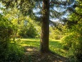 Продава ПАРЦЕЛ, град София, гр. Банкя • 183400 € • 48570157 6