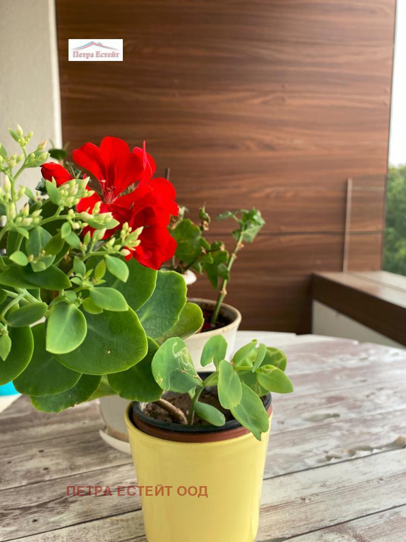 Продава ХОТЕЛ | Imot.bg — изображение 9