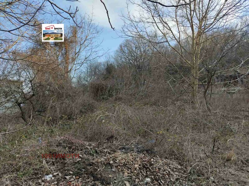 Продава ПАРЦЕЛ в област Добрич, с. Бежаново - 1750 кв.м / 5 112.92 € » 10 000 лв., 1001ИМОТИ