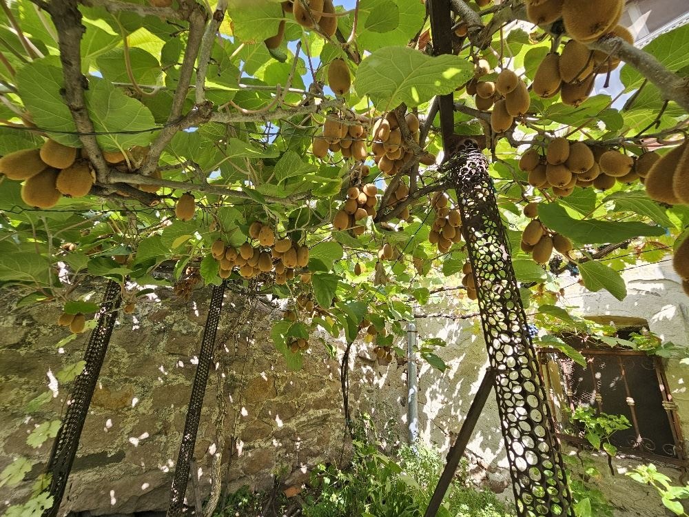 Продава КЪЩА | Imot.bg — изображение 15