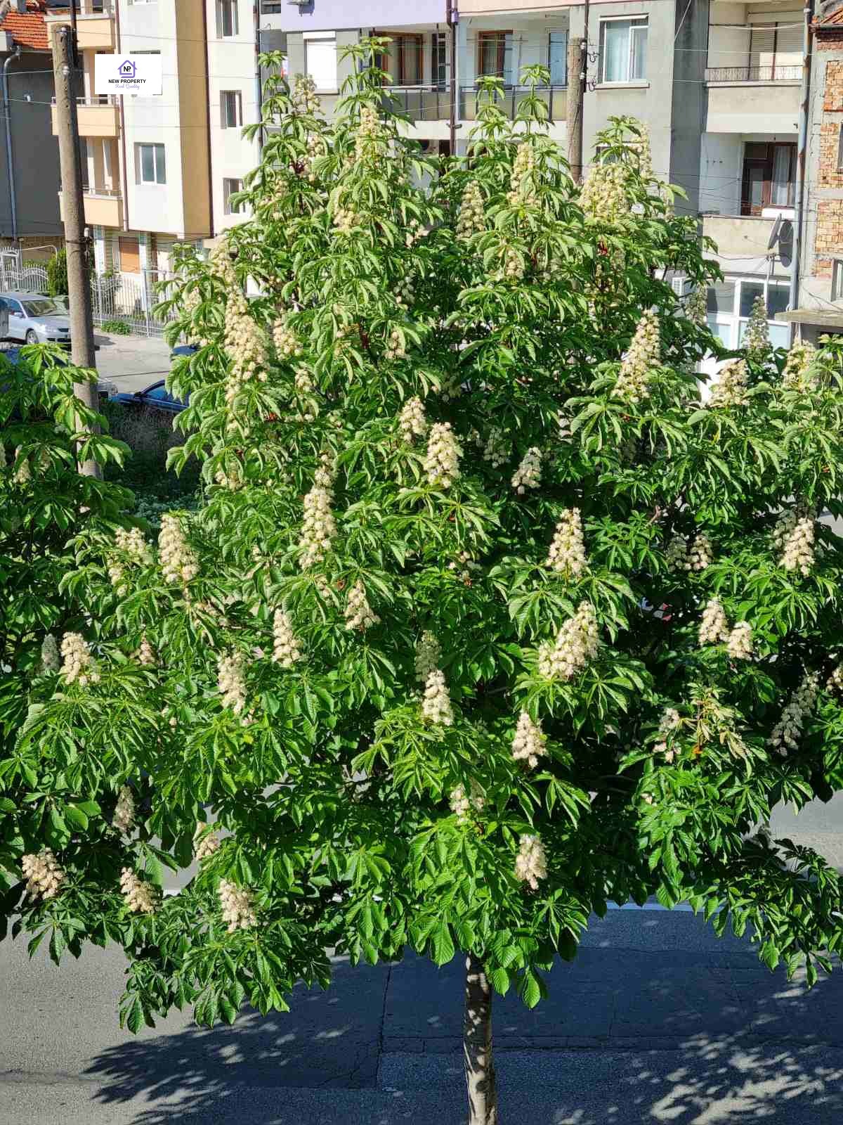 ������� ���� | Imot.bg � ����������� 5