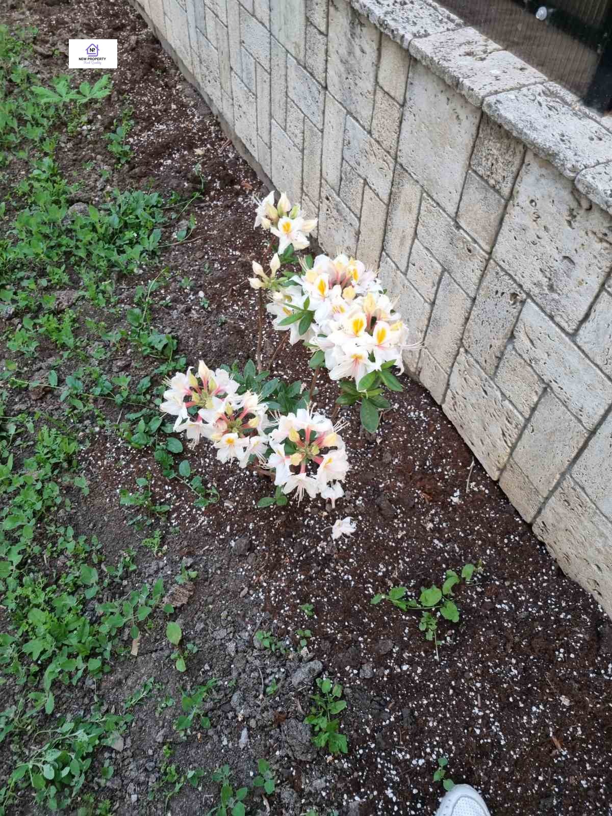 ������� ���� | Imot.bg � ����������� 6