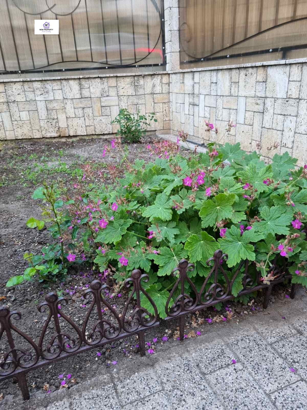 ������� ���� | Imot.bg � ����������� 4