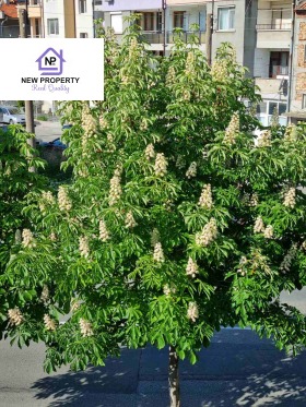 ������� ���� | Imot.bg � ����� ������ 5