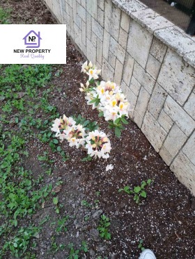 ������� ���� | Imot.bg � ����� ������ 6