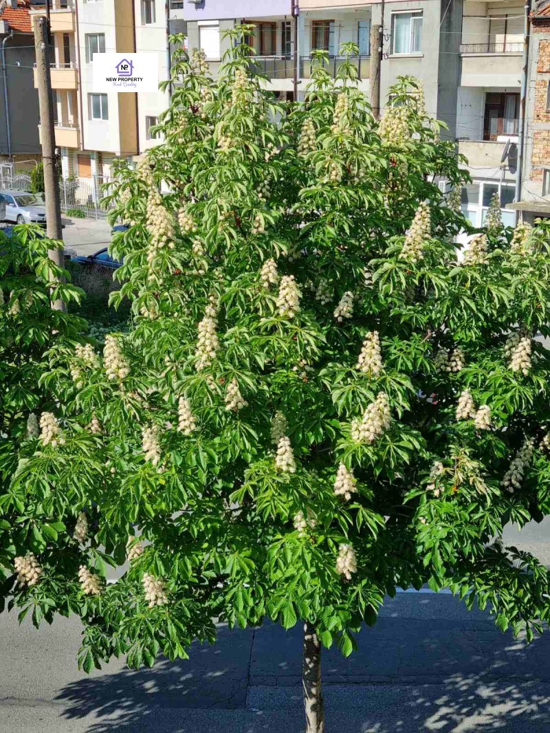 Продава КЪЩА, гр. Поморие, област Бургас, снимка 5 - Къщи - 53032423