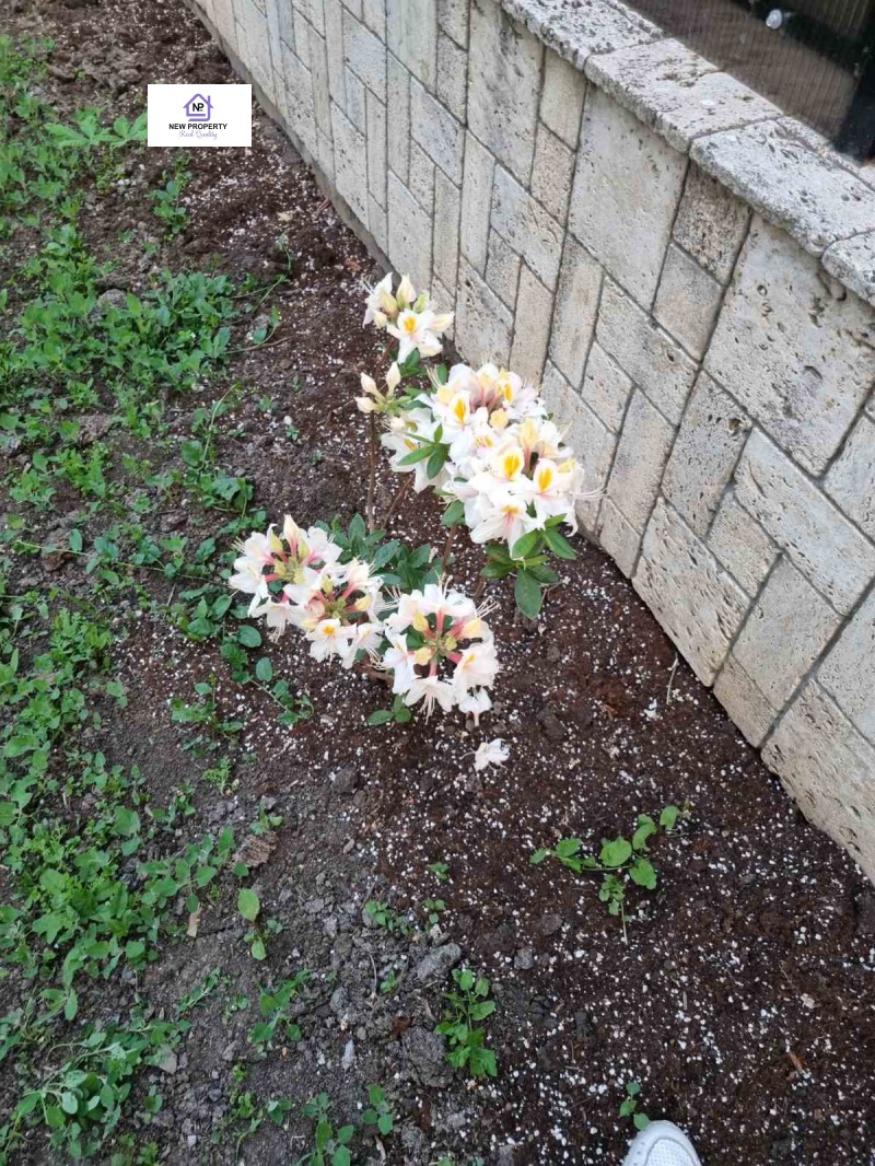 Продава КЪЩА, гр. Поморие, област Бургас, снимка 6 - Къщи - 53032423