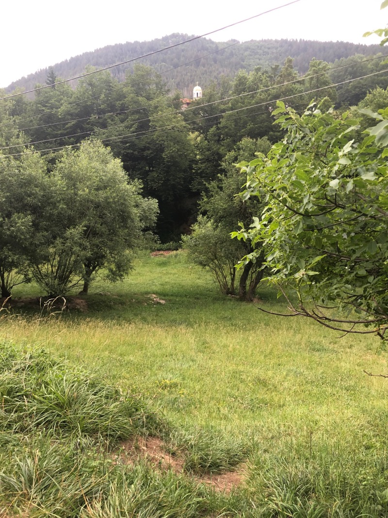 Продава ПАРЦЕЛ, с. Дунево, област Смолян