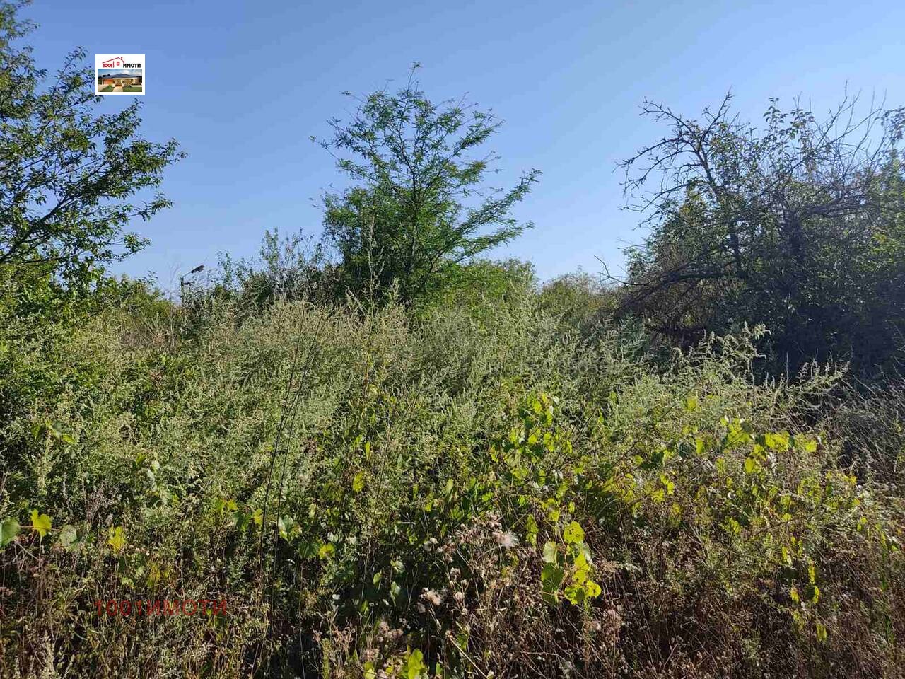 Продава ПАРЦЕЛ, с. Бежаново, област Добрич, снимка 2 - Парцели - 39189584