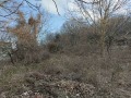 Продава ПАРЦЕЛ, с. Бежаново, област Добрич, снимка 1