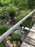Продава ПАРЦЕЛ, с. Дунево, област Смолян, снимка 2