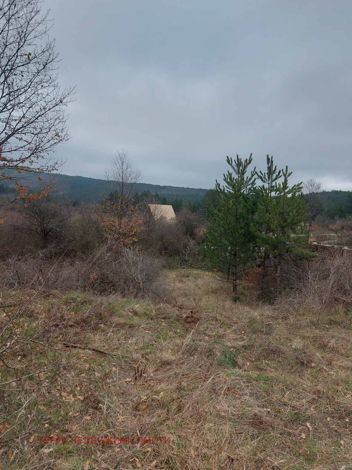 ������� ������ | Imot.bg � ����������� 7