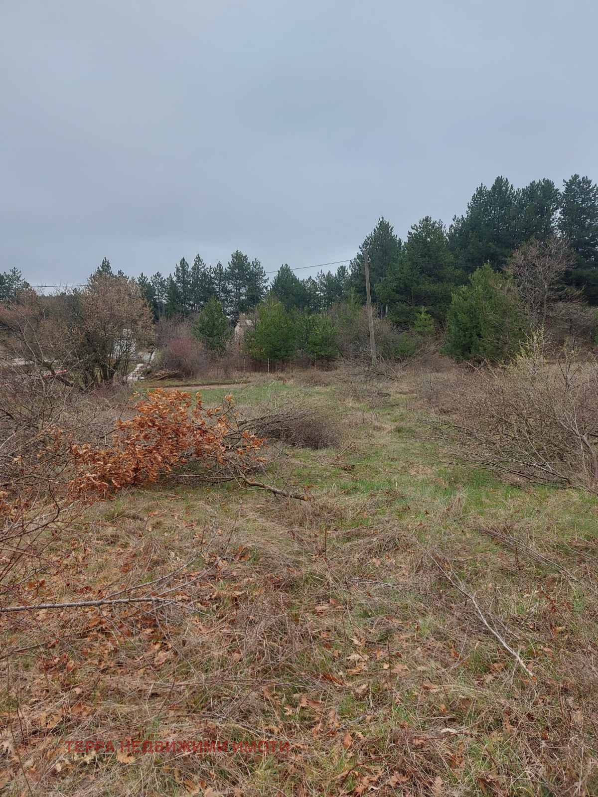 ������� ������ | Imot.bg � ����������� 9